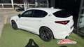 Alfa Romeo Stelvio Stelvio 2.2 t Veloce Q4 210cv auto Wit - thumbnail 4