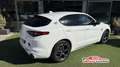 Alfa Romeo Stelvio Stelvio 2.2 t Veloce Q4 210cv auto Wit - thumbnail 6