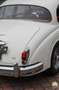 Jaguar Mk II 3.8 mit Wiener Erstzulassung Weiß - thumbnail 11