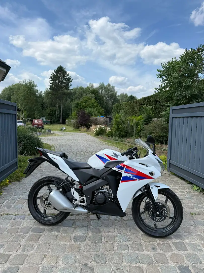 Honda CBR 125 *Tricolor* @AelbrechtMotors Wit - 1