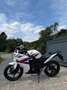 Honda CBR 125 *Tricolor* @AelbrechtMotors Wit - thumbnail 2