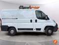 Fiat Ducato 2.0+CM3++85+KW+116+CV Blanco - thumbnail 3