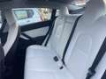Tesla Model 3 Performance AWD 75 kWh | Performance |  Panoramada Blau - thumbnail 8