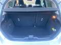 Ford Fiesta 5P 1.1 TITANIUM 85CV  OK NEOPATENTATI Blanc - thumbnail 9