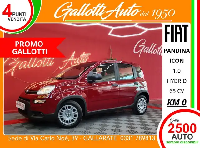 Fiat Panda 1.0 firefly hybrid Icon s&s 65cv 5p.ti -  PRMO GA