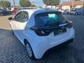 Toyota Yaris Yaris Hybrid Business Edition Blanc - thumbnail 4