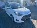 Toyota Yaris Yaris Hybrid Business Edition Blanc - thumbnail 2