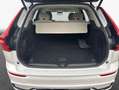 Volvo XC60 XC60 B4 B Plus Dark Weiß - thumbnail 7