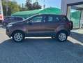 Ford EcoSport EcoSport 1.5 tdci Plus 90cv Bronzo - thumbnail 9