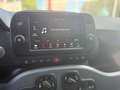 Fiat Panda 3ª serie 1.2 EasyPower City Life Grigio - thumbnail 11