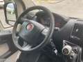 Fiat Ducato 2.3 MJET - L2H2 Blanc - thumbnail 8