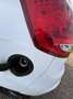 Ford Fiesta 1.25 Trend White - thumbnail 8