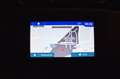 Dacia Duster 1.5 blue dci Techroad 4x4 115cv Bianco - thumbnail 11