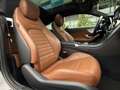 Mercedes-Benz C 250 // AMG-Line // Panorama // Garantie Schwarz - thumbnail 20