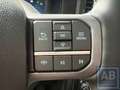 Ford F 150 F150 LARIAT Grau - thumbnail 17