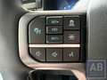 Ford F 150 F150 LARIAT Grau - thumbnail 21