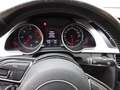 Audi A5 Sportback 2.0 TDI quattro S LINE Automatik Gris - thumbnail 16