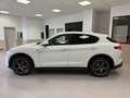 Alfa Romeo Stelvio 2.2 t Executive Q4 210cv auto - thumbnail 10