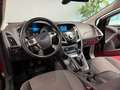 Ford Focus Lim. Titanium 1.Hand/Keyless-Go/SHZ/PDC Noir - thumbnail 14