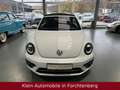 Volkswagen Beetle Cabriolet Sound Aut. Nav Bi-Xenon SHZ 18" Білий - thumbnail 2