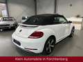 Volkswagen Beetle Cabriolet Sound Aut. Nav Bi-Xenon SHZ 18" Білий - thumbnail 7