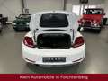 Volkswagen Beetle Cabriolet Sound Aut. Nav Bi-Xenon SHZ 18" Білий - thumbnail 15