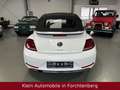 Volkswagen Beetle Cabriolet Sound Aut. Nav Bi-Xenon SHZ 18" Білий - thumbnail 6