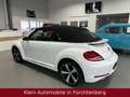 Volkswagen Beetle Cabriolet Sound Aut. Nav Bi-Xenon SHZ 18" Білий - thumbnail 5