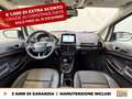 Ford EcoSport 1.0 ecoboost active s&s 125cv Bianco - thumbnail 10