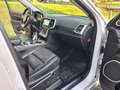 Jeep Grand Cherokee Grand Cherokee 3,0 V6 CRD Summit Summit - thumbnail 23