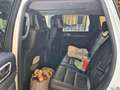 Jeep Grand Cherokee Grand Cherokee 3,0 V6 CRD Summit Summit - thumbnail 9