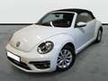 Volkswagen Beetle 1.2 TSI BMT Connection 77kW Weiß - thumbnail 4