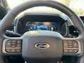Ford F 150 Lightning AWD Extended Range Wit - thumbnail 11