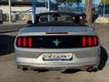 Ford Mustang Convertible 3.7 V6 aut. *GPL* Argento - thumbnail 5
