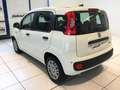 Fiat Panda S9 1.0 Hybrid Panda - PROMO LUGLIO + TARGA Bianco - thumbnail 6