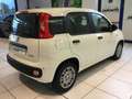 Fiat Panda S9 1.0 Hybrid Panda - PROMO LUGLIO + TARGA Bianco - thumbnail 8