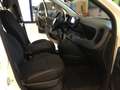 Fiat Panda S9 1.0 Hybrid Panda - PROMO LUGLIO + TARGA Bianco - thumbnail 13