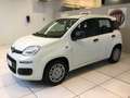 Fiat Panda S9 1.0 Hybrid Panda - PROMO LUGLIO + TARGA Bianco - thumbnail 3