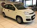 Fiat Panda S9 1.0 Hybrid Panda - PROMO LUGLIO + TARGA Bianco - thumbnail 5
