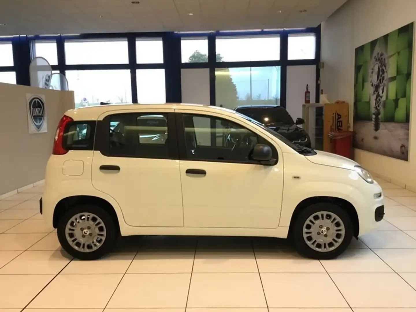 Fiat Panda S9 1.0 Hybrid Panda - PROMO LUGLIO + TARGA Bianco - 2