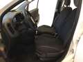 Fiat Panda S9 1.0 Hybrid Panda - PROMO LUGLIO + TARGA Bianco - thumbnail 12