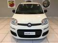 Fiat Panda S9 1.0 Hybrid Panda - PROMO LUGLIO + TARGA Bianco - thumbnail 4