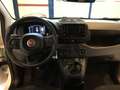 Fiat Panda S9 1.0 Hybrid Panda - PROMO LUGLIO + TARGA Bianco - thumbnail 11