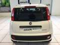 Fiat Panda S9 1.0 Hybrid Panda - PROMO LUGLIO + TARGA Bianco - thumbnail 7