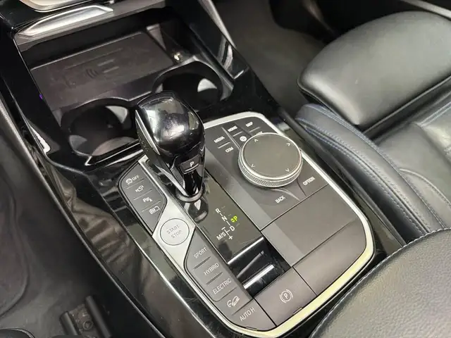 BMW X3 view 19