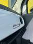 Fiat 500 Cabrio|1.2|Airco|Nwe DB Riem + APK|PDC Wit - thumbnail 21