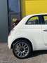 Fiat 500 Cabrio|1.2|Airco|Nwe DB Riem + APK|PDC Wit - thumbnail 7