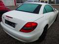 Mercedes-Benz SLK 200 Kompressor Automatik "SHZ-Leder-Alu" White - thumbnail 3