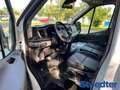 Ford Transit Pritsche 350 L3 Einzelkabine Trend 2.0 T Blanc - thumbnail 6
