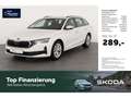 Skoda Octavia Combi 2.0 TDI Selection DSG AHK/LED/NAV Weiß - thumbnail 1